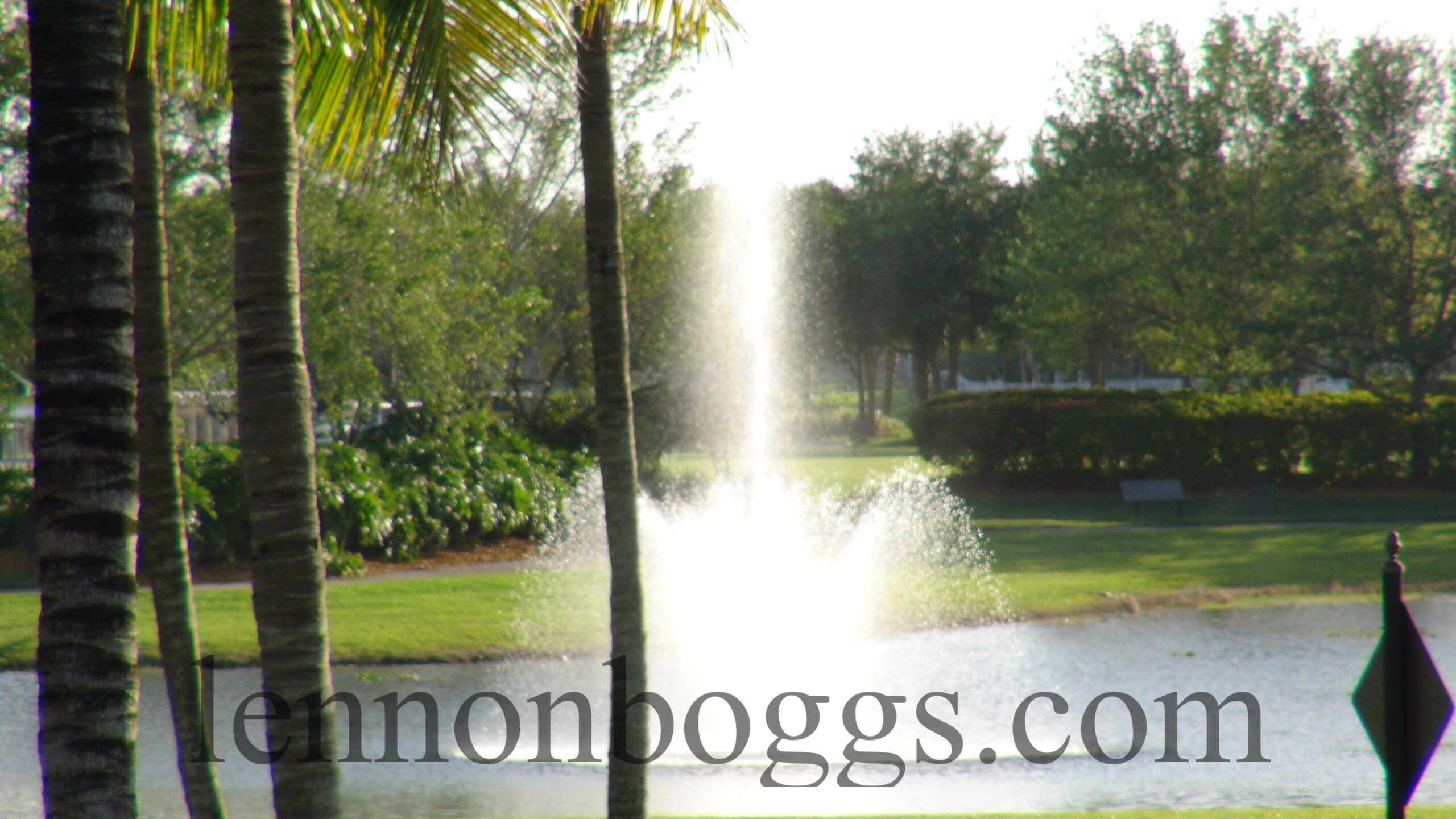 Fountain view