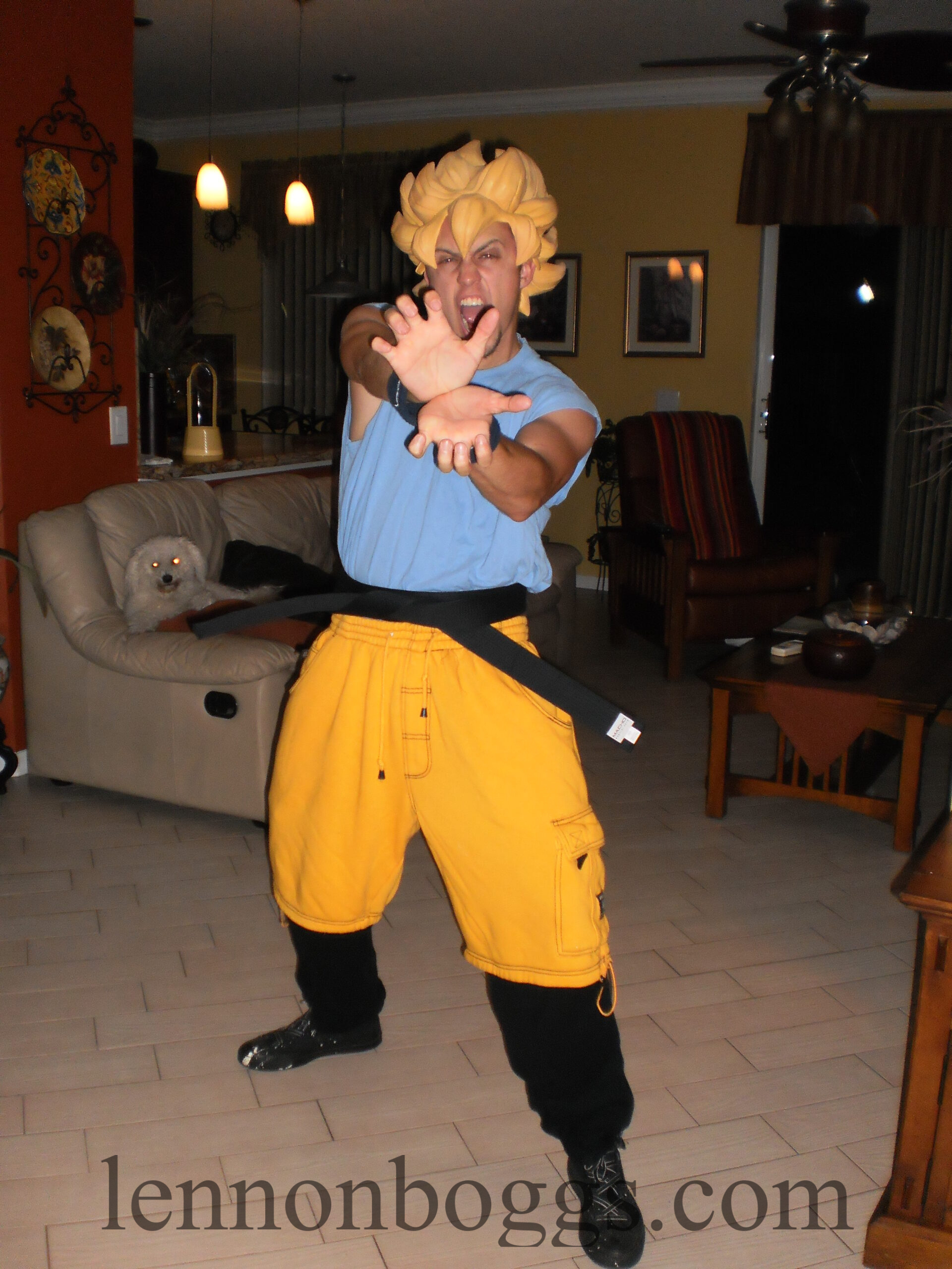 Dragonball z